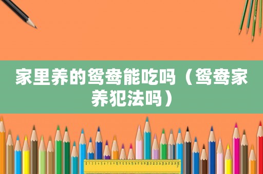家里養(yǎng)的鴛鴦能吃嗎（鴛鴦家養(yǎng)犯法嗎）