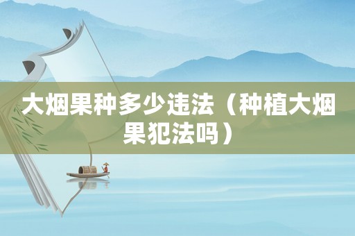 大煙果種多少違法（種植大煙果犯法嗎）