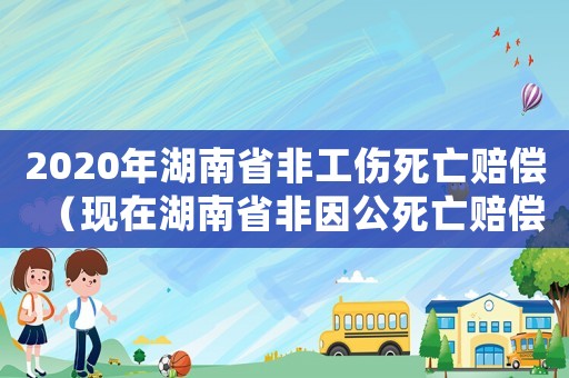 2020年湖南省非工傷死亡賠償（現(xiàn)在湖南省非因公死亡賠償標(biāo)準(zhǔn)）