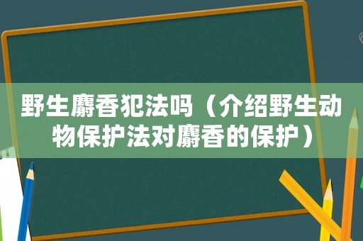 野生麝香犯法嗎（介紹野生動(dòng)物保護(hù)法對(duì)麝香的保護(hù)）