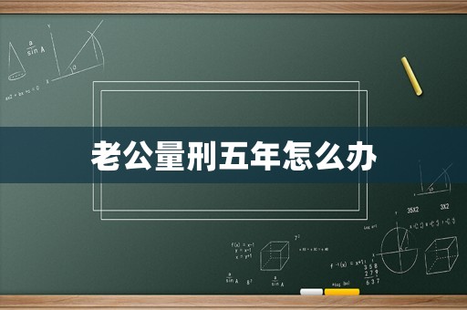老公量刑五年怎么辦