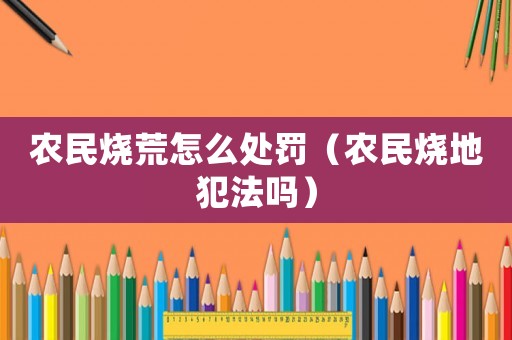 農(nóng)民燒荒怎么處罰（農(nóng)民燒地犯法嗎）