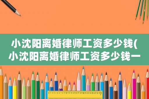 小沈陽離婚律師工資多少錢(小沈陽離婚律師工資多少錢一天)