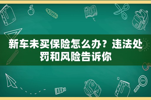 新車未買保險怎么辦？違法處罰和風險告訴你