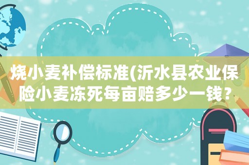 燒小麥補(bǔ)償標(biāo)準(zhǔn)(沂水縣農(nóng)業(yè)保險(xiǎn)小麥凍死每畝賠多少一錢？)