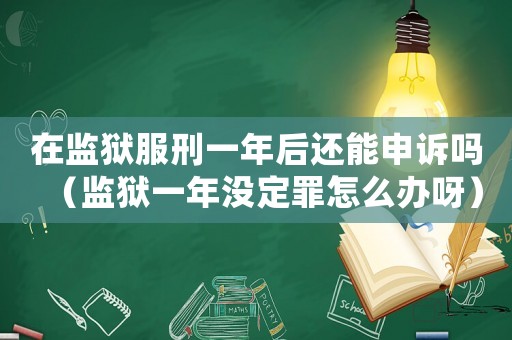 在監(jiān)獄服刑一年后還能申訴嗎（監(jiān)獄一年沒定罪怎么辦呀）