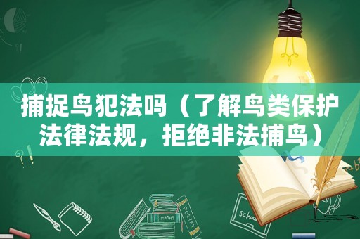 捕捉鳥犯法嗎（了解鳥類保護(hù)法律法規(guī)，拒絕非法捕鳥）