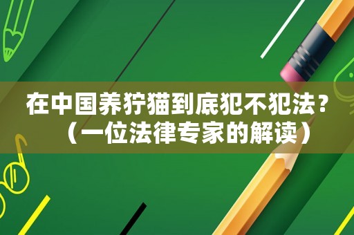 在中國養(yǎng)獰貓到底犯不犯法？（一位法律專家的解讀）