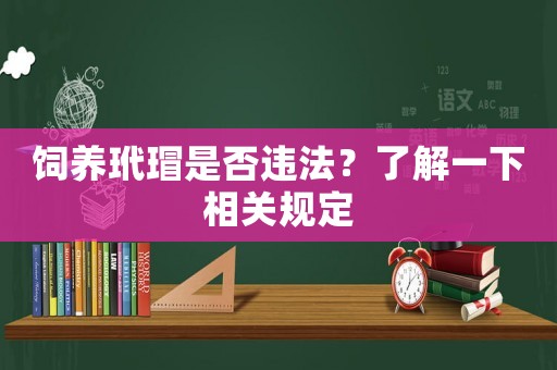 飼養(yǎng)玳瑁是否違法？了解一下相關(guān)規(guī)定