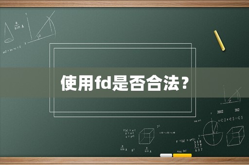 使用fd是否合法？