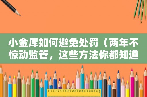 小金庫如何避免處罰（兩年不驚動監(jiān)管，這些方法你都知道嗎？）