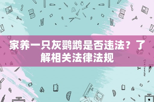 家養(yǎng)一只灰鸚鵡是否違法？了解相關(guān)法律法規(guī)