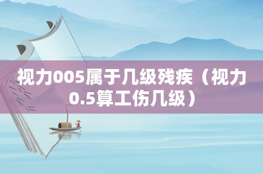 視力005屬于幾級殘疾（視力0.5算工傷幾級）