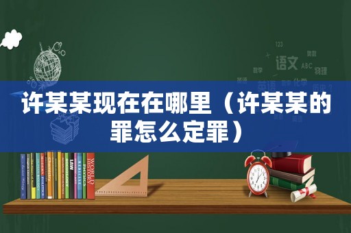 許某某現(xiàn)在在哪里（許某某的罪怎么定罪）