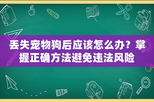 丟失寵物狗后應(yīng)該怎么辦？掌握正確方法避免違法風(fēng)險