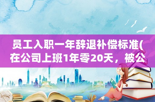員工入職一年辭退補(bǔ)償標(biāo)準(zhǔn)(在公司上班1年零20天，被公司辭退，應(yīng)該獲得多少賠償？)