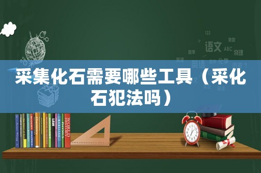 采集化石需要哪些工具（采化石犯法嗎）