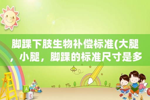 腳踝下肢生物補(bǔ)償標(biāo)準(zhǔn)(大腿，小腿，腳踝的標(biāo)準(zhǔn)尺寸是多少？)