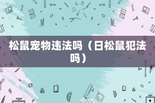 松鼠寵物違法嗎（日松鼠犯法嗎）