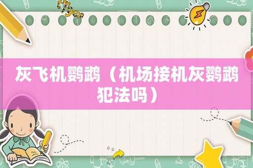 灰飛機(jī)鸚鵡（機(jī)場(chǎng)接機(jī)灰鸚鵡犯法嗎）
