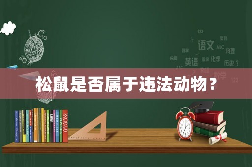 松鼠是否屬于違法動(dòng)物？