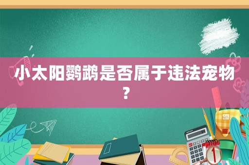 小太陽(yáng)鸚鵡是否屬于違法寵物？