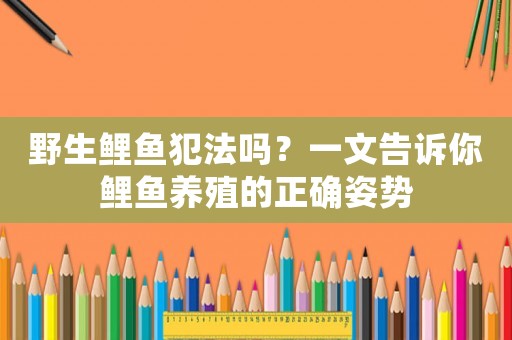 野生鯉魚犯法嗎？一文告訴你鯉魚養(yǎng)殖的正確姿勢