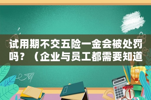 試用期不交五險(xiǎn)一金會(huì)被處罰嗎？（企業(yè)與員工都需要知道的法律風(fēng)險(xiǎn)）