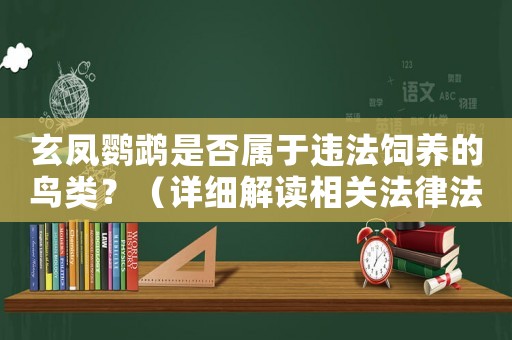 玄鳳鸚鵡是否屬于違法飼養(yǎng)的鳥類？（詳細(xì)解讀相關(guān)法律法規(guī)）