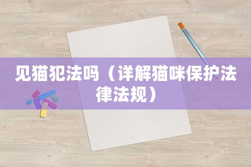 見貓犯法嗎（詳解貓咪保護(hù)法律法規(guī)）