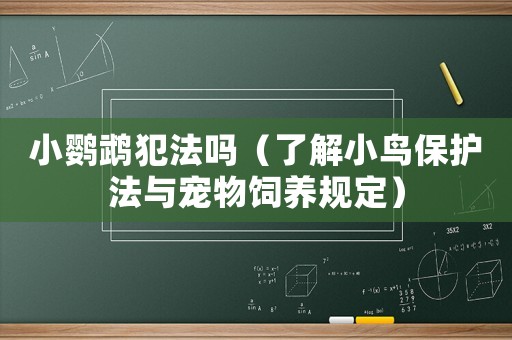 小鸚鵡犯法嗎（了解小鳥(niǎo)保護(hù)法與寵物飼養(yǎng)規(guī)定）