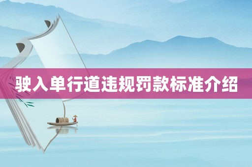 駛入單行道違規(guī)罰款標準介紹