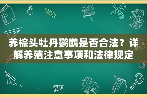 養(yǎng)棕頭牡丹鸚鵡是否合法？詳解養(yǎng)殖注意事項(xiàng)和法律規(guī)定