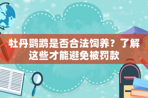 牡丹鸚鵡是否合法飼養(yǎng)？了解這些才能避免被罰款