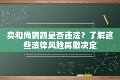 賣和尚鸚鵡是否違法？了解這些法律風(fēng)險再做決定