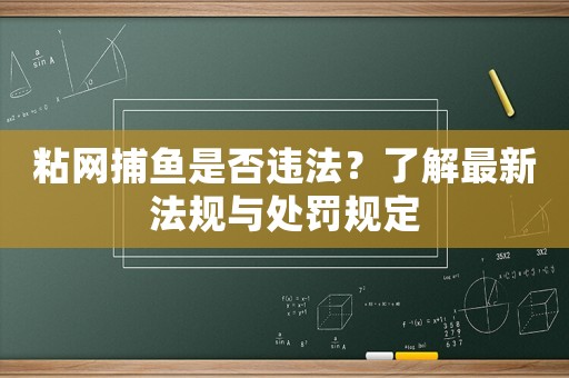 粘網(wǎng)捕魚是否違法？了解最新法規(guī)與處罰規(guī)定