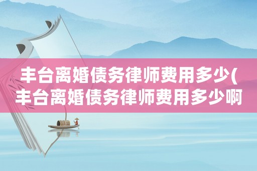 豐臺離婚債務(wù)律師費用多少(豐臺離婚債務(wù)律師費用多少啊)