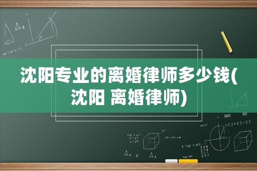 沈陽專業(yè)的離婚律師多少錢(沈陽 離婚律師)