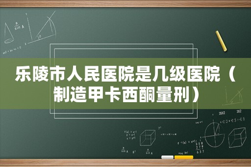 樂陵市人民醫(yī)院是幾級醫(yī)院（制造甲卡西酮量刑）