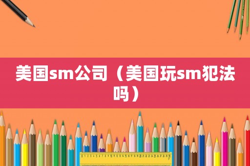 美國sm公司（美國玩sm犯法嗎）