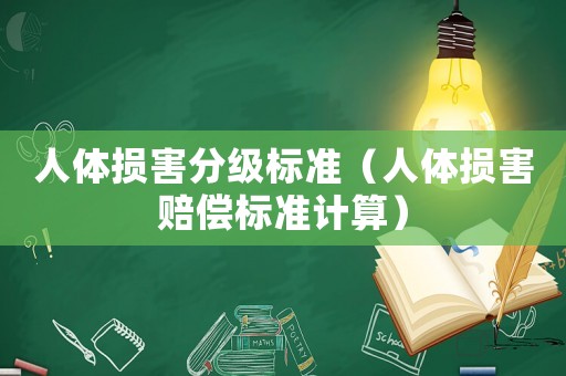 人體損害分級(jí)標(biāo)準(zhǔn)（人體損害賠償標(biāo)準(zhǔn)計(jì)算）