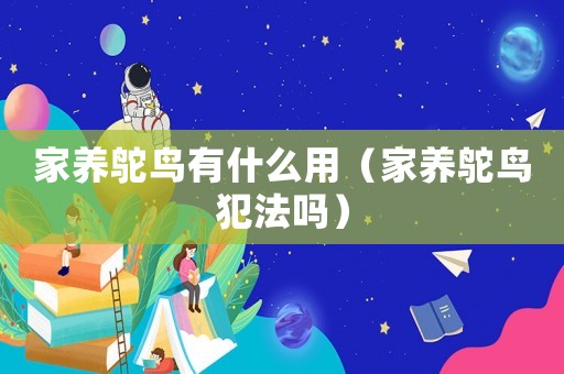 家養(yǎng)鴕鳥有什么用（家養(yǎng)鴕鳥犯法嗎）