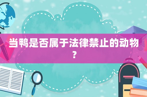 當鴨是否屬于法律禁止的動物？