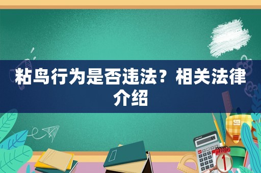 粘鳥行為是否違法？相關(guān)法律介紹