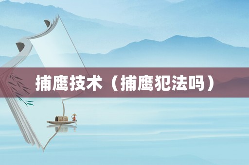 捕鷹技術(shù)（捕鷹犯法嗎）