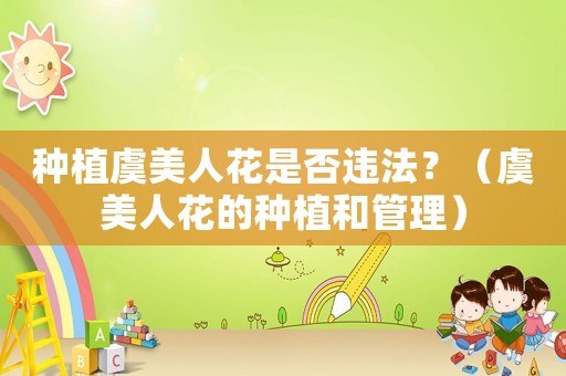 種植虞美人花是否違法？（虞美人花的種植和管理）