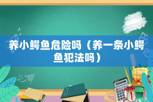 養(yǎng)小鱷魚危險(xiǎn)嗎（養(yǎng)一條小鱷魚犯法嗎）
