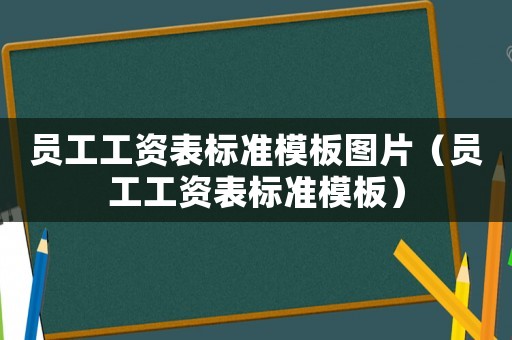 員工工資表標(biāo)準(zhǔn)模板圖片（員工工資表標(biāo)準(zhǔn)模板）