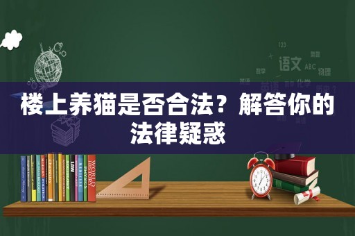 樓上養(yǎng)貓是否合法？解答你的法律疑惑