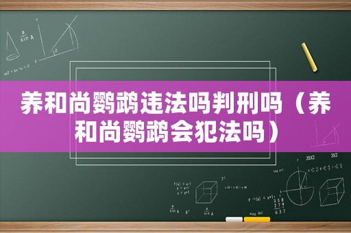 養(yǎng)和尚鸚鵡違法嗎判刑嗎（養(yǎng)和尚鸚鵡會犯法嗎）
